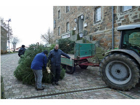 Es weihnachtet in St. Crescentius (Foto: Karl-Franz Thiede)